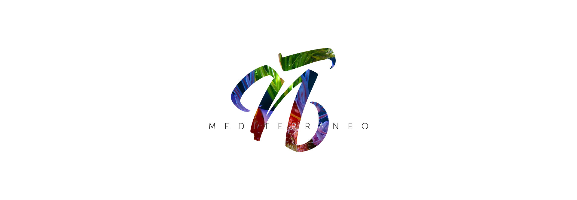 logo serie Mediterráneo